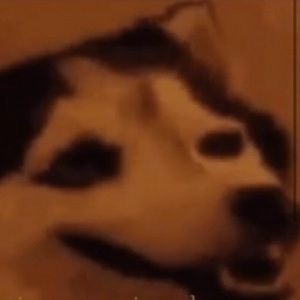 Meet your Posher, Colby